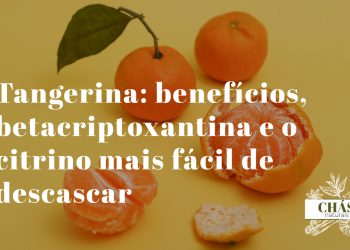 tangerina benefícios — tangerinas Citrus reticulata descascadas ricas em betacriptoxantina