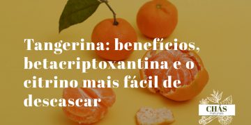 tangerina benefícios — tangerinas Citrus reticulata descascadas ricas em betacriptoxantina