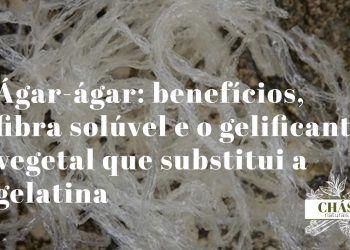 ágar-ágar benefícios — pó de ágar-ágar e gel vegetal transparente formado