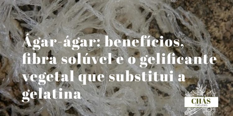 ágar-ágar benefícios — pó de ágar-ágar e gel vegetal transparente formado
