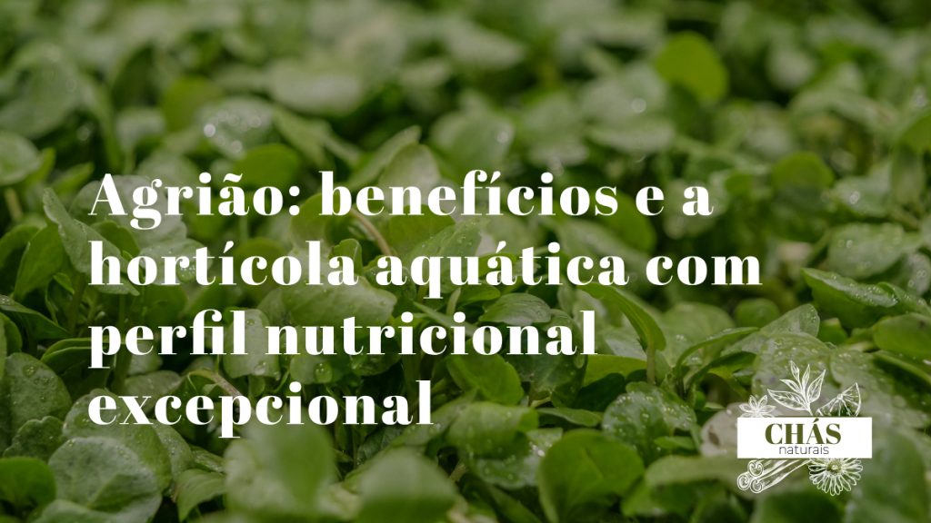 agrião benefícios — folhas verdes de agrião Nasturtium officinale fresco aquático