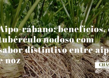 aipo-rábano benefícios — raiz nodosa de aipo-rábano cortada mostrando polpa branca