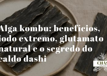 alga kombu benefícios — tira de alga kombu seca Saccharina japonica para caldo dashi