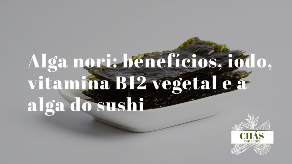 alga nori benefícios — folhas de alga nori secas usadas em sushi japonês