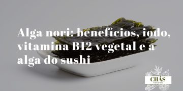 alga nori benefícios — folhas de alga nori secas usadas em sushi japonês