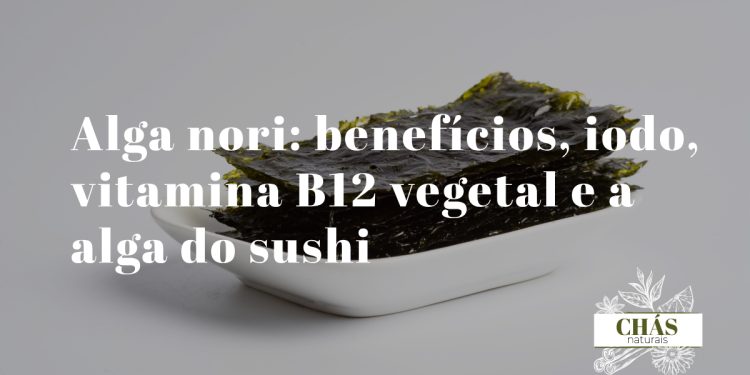 alga nori benefícios — folhas de alga nori secas usadas em sushi japonês