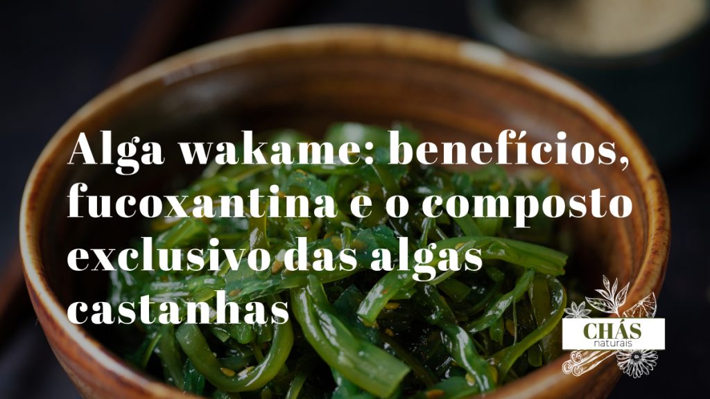 alga wakame benefícios — alga wakame hidratada verde-escura em salada japonesa