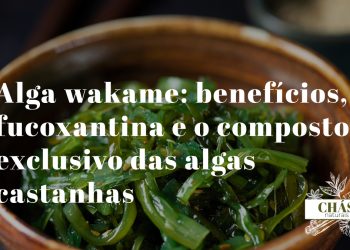alga wakame benefícios — alga wakame hidratada verde-escura em salada japonesa