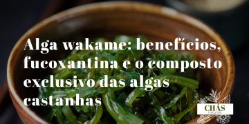 alga wakame benefícios — alga wakame hidratada verde-escura em salada japonesa