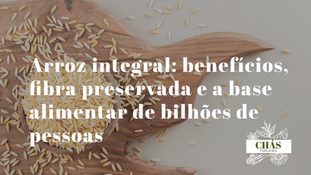 arroz integral benefícios — grãos de arroz integral Oryza sativa com farelo preservado