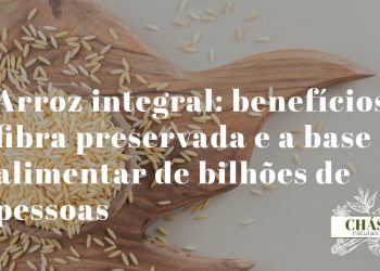 arroz integral benefícios — grãos de arroz integral Oryza sativa com farelo preservado