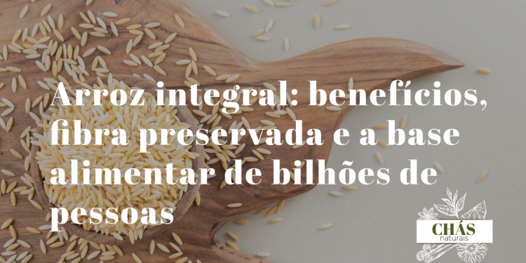 arroz integral benefícios — grãos de arroz integral Oryza sativa com farelo preservado