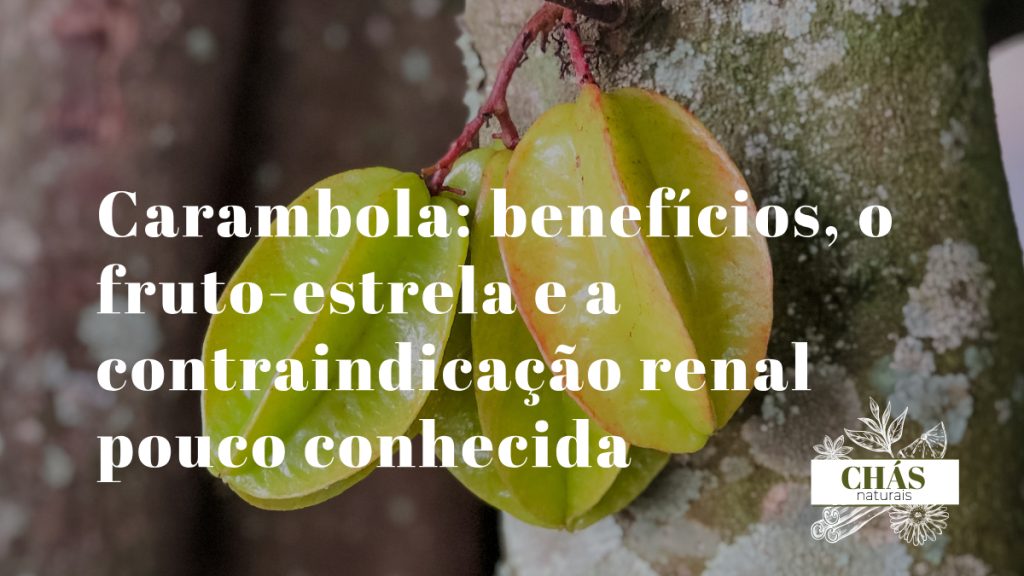 carambola benefícios — fatias de carambola em forma de estrela Averrhoa carambola