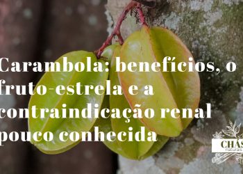 carambola benefícios — fatias de carambola em forma de estrela Averrhoa carambola