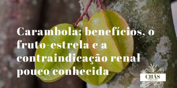 carambola benefícios — fatias de carambola em forma de estrela Averrhoa carambola