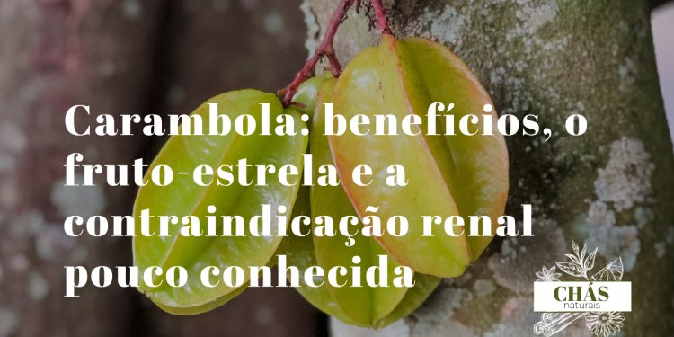 carambola benefícios — fatias de carambola em forma de estrela Averrhoa carambola