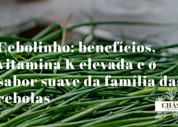 cebolinho benefícios — hastes verdes frescas de cebolinho Allium schoenoprasum