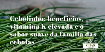 cebolinho benefícios — hastes verdes frescas de cebolinho Allium schoenoprasum