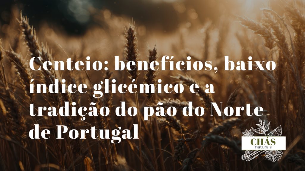 centeio benefícios — grãos de centeio Secale cereale e pão integral tradicional do Norte de Portugal