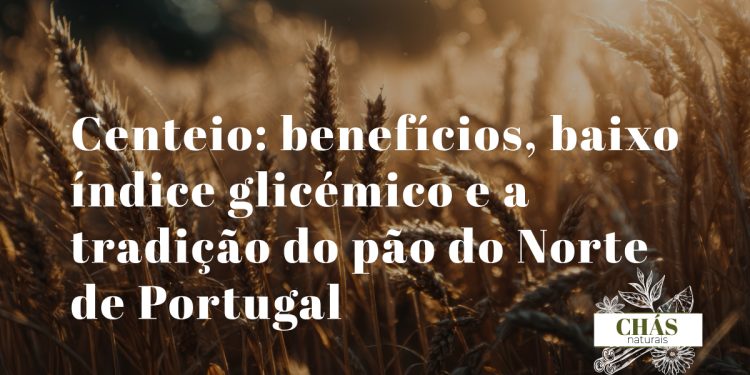 centeio benefícios — grãos de centeio Secale cereale e pão integral tradicional do Norte de Portugal