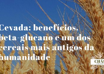 cevada benefícios — grãos de cevada Hordeum vulgare ricos em fibra beta-glucano