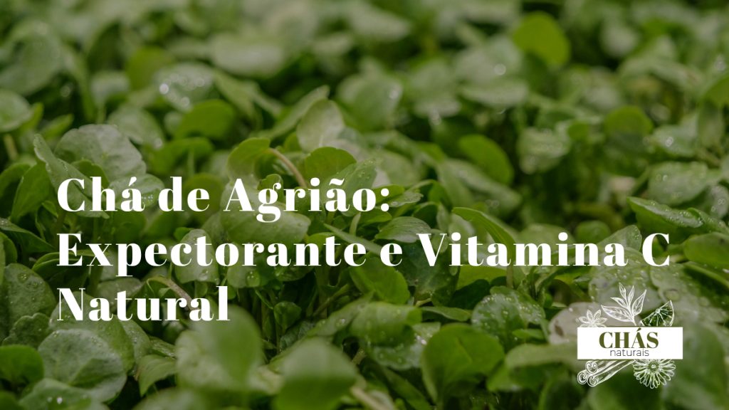 agrião fresco Nasturtium officinale com folhas verdes brilhantes em cesto junto a chávena de infusão sobre fundo claro