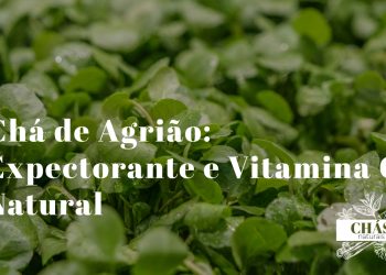 agrião fresco Nasturtium officinale com folhas verdes brilhantes em cesto junto a chávena de infusão sobre fundo claro