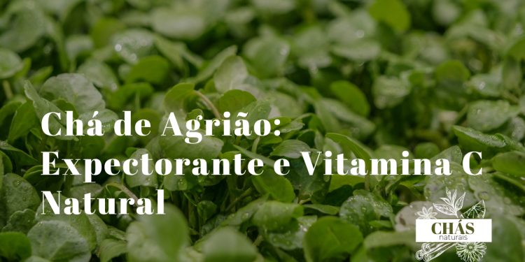 agrião fresco Nasturtium officinale com folhas verdes brilhantes em cesto junto a chávena de infusão sobre fundo claro