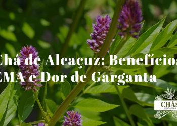 raiz seca de alcaçuz Glycyrrhiza glabra cortada em pedaços junto a pó castanho e chávena de infusão sobre superfície de madeira