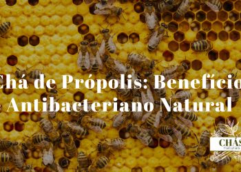 frasco de tintura de própolis de cor âmbar escura ao lado de favo de mel e chávena de chá quente sobre superfície de madeira