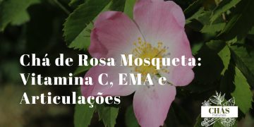 frutos vermelhos secos de rosa mosqueta Rosa canina em tigela rústica junto a chávena de infusão laranja sobre superfície de madeira
