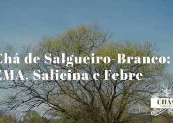 casca seca de salgueiro-branco Salix alba em pedaços junto a chávena de infusão castanha escura sobre superfície de madeira natural