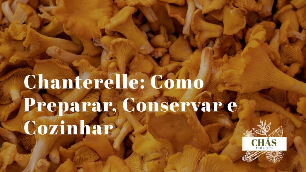chanterelles dourados frescos Cantharellus cibarius limpos dispostos sobre tábua de madeira com ramos de tomilho e manteiga ao lado