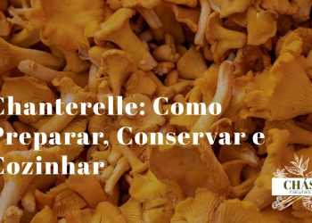 chanterelles dourados frescos Cantharellus cibarius limpos dispostos sobre tábua de madeira com ramos de tomilho e manteiga ao lado