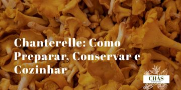 chanterelles dourados frescos Cantharellus cibarius limpos dispostos sobre tábua de madeira com ramos de tomilho e manteiga ao lado