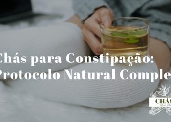 conjunto de plantas medicinais para constipação equinácea eucalipto gengibre e mel dispostas sobre mesa de madeira rústica com chávena ao centro