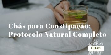 conjunto de plantas medicinais para constipação equinácea eucalipto gengibre e mel dispostas sobre mesa de madeira rústica com chávena ao centro
