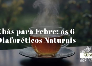 chávena de chá quente com vapor ao lado de flores de sabugueiro e tília secas sobre superfície de madeira rústica com termómetro ao fundo