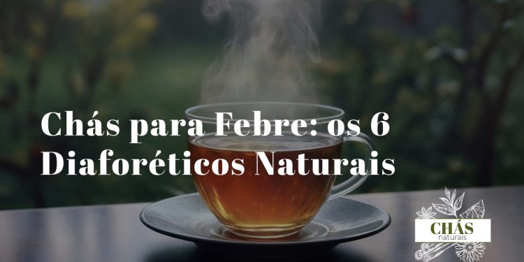 chávena de chá quente com vapor ao lado de flores de sabugueiro e tília secas sobre superfície de madeira rústica com termómetro ao fundo