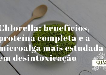 chlorella benefícios — pó verde de chlorella vulgaris com parede celular quebrada