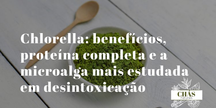 chlorella benefícios — pó verde de chlorella vulgaris com parede celular quebrada