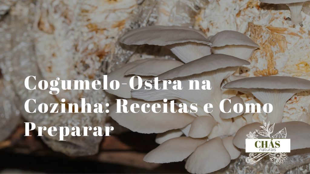 cogumelos-ostra Pleurotus ostreatus cinzentos frescos dispostos em leque sobre tábua de madeira rústica com ervas aromáticas