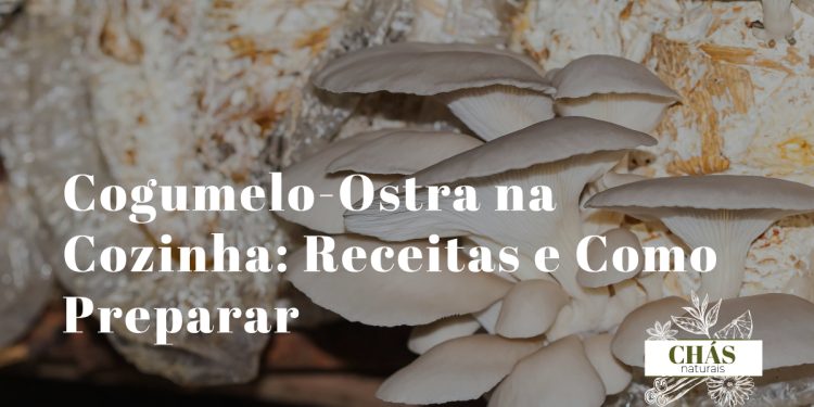 cogumelos-ostra Pleurotus ostreatus cinzentos frescos dispostos em leque sobre tábua de madeira rústica com ervas aromáticas