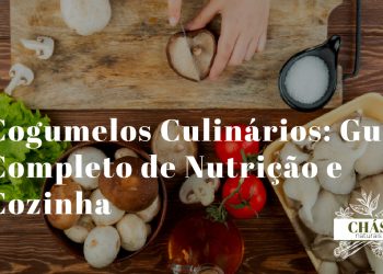 variedade de cogumelos asiáticos frescos enoki shimeji maitake e wood ear dispostos sobre tábua de madeira com pauzinhos e molho de soja