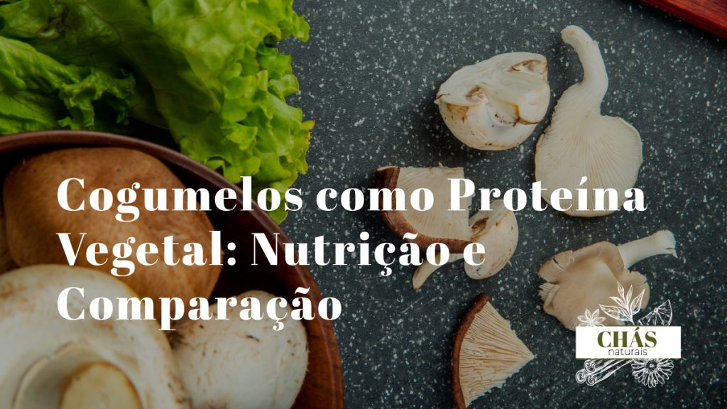 cogumelos frescos variados ao lado de outros alimentos proteicos vegetais feijão tofu e frutos secos sobre superfície branca com luz natural