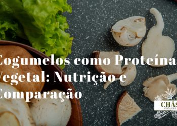 cogumelos frescos variados ao lado de outros alimentos proteicos vegetais feijão tofu e frutos secos sobre superfície branca com luz natural