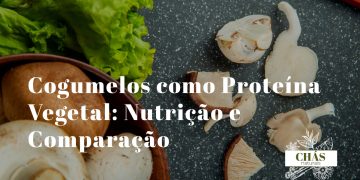 cogumelos frescos variados ao lado de outros alimentos proteicos vegetais feijão tofu e frutos secos sobre superfície branca com luz natural