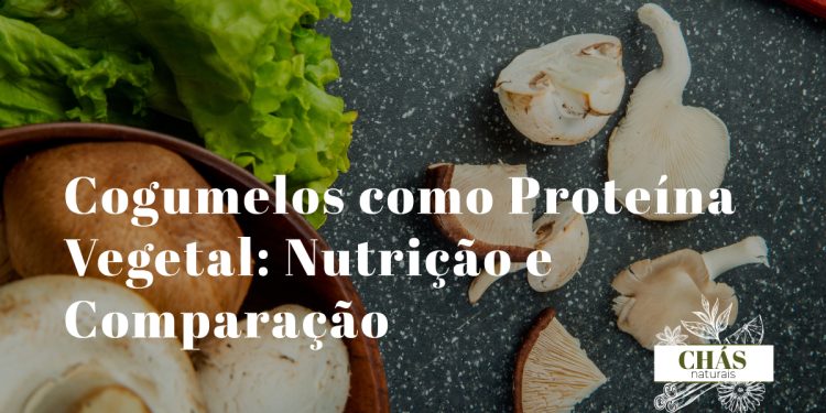 cogumelos frescos variados ao lado de outros alimentos proteicos vegetais feijão tofu e frutos secos sobre superfície branca com luz natural