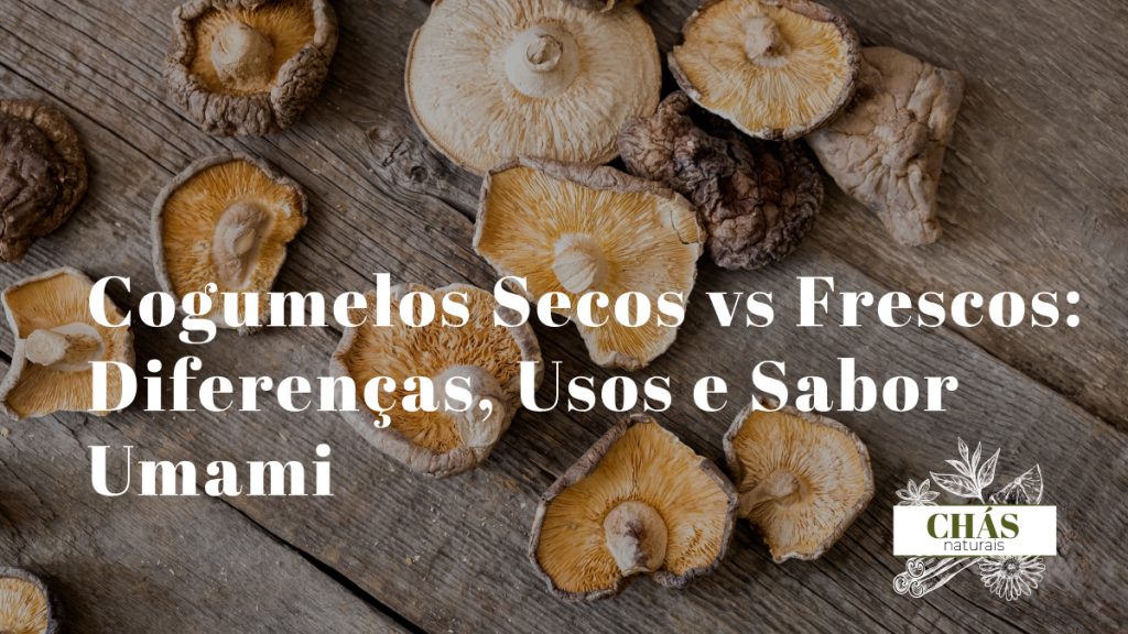 cogumelos secos ao lado de cogumelos frescos sobre superfície de madeira representando a diferença de textura sabor e usos culinários