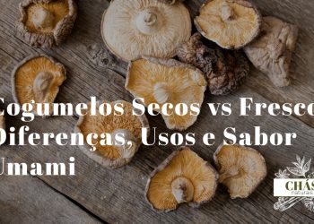cogumelos secos ao lado de cogumelos frescos sobre superfície de madeira representando a diferença de textura sabor e usos culinários